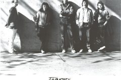 Fanatiks-Group-Shot-1